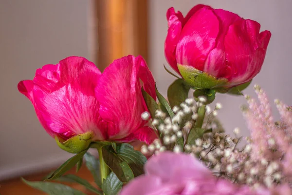 Bouquet Pivoines Roses Astilbes — Photo