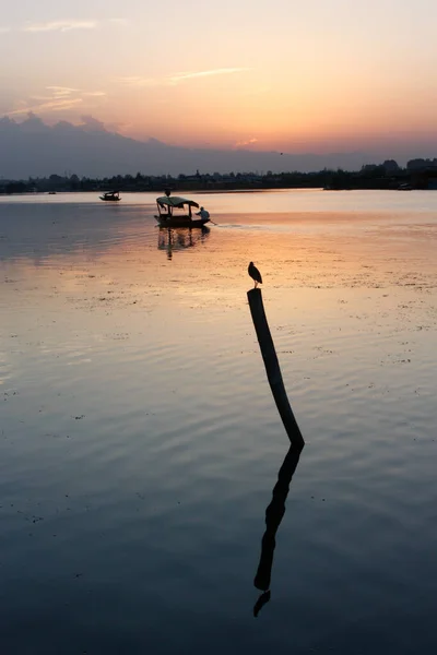 Dal Kentsel Gölünün Dikey Bir Görüntüsü Hindistan Srinagar Kentinde Gün — Stok fotoğraf