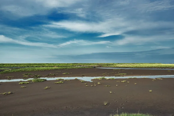 Водяний Струмок Біля Поля Сонячний День — стокове фото