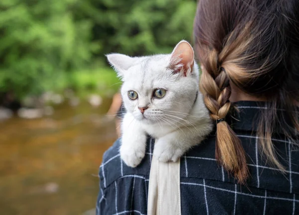 Closeup Adorable White Cat Leaning Girl Shoulder Outdoors Blurry Background — Stock Photo, Image