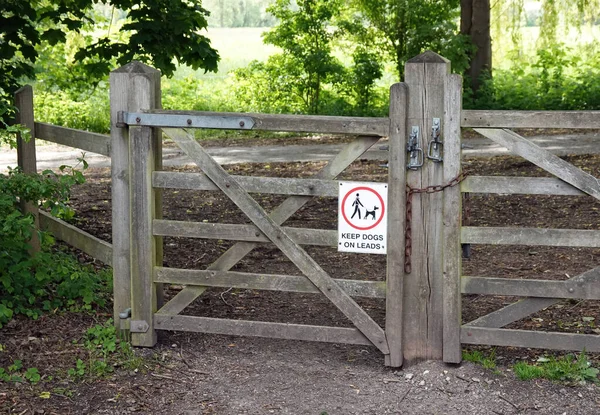 Warnschild Hunde Der Leine Halten Hängt Holztoren Wald — Stockfoto