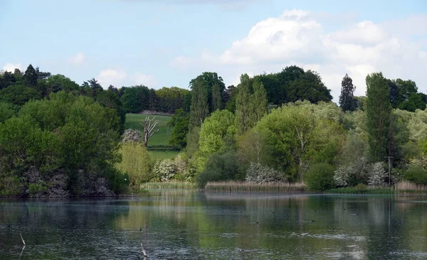 Ein Malerischer Blick Auf Einen Wunderschönen See Inmitten Der Natur — Stockfoto