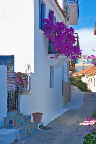 Arquitetura Tradicional Ilha Bairro Com Ruas Estreitas Porta Azul Skiathos — Fotografia de Stock