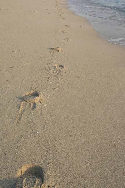 Nsan Ayak Izleriyle Sahilin Dikey Görüntüsü — Stok fotoğraf