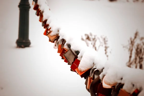 Tiro Close Fechaduras Amor Cobertas Neve Uma Corrente Frente Uma — Fotografia de Stock