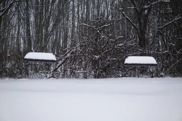 Shot Park Swing Covered Snow Winter — Stock fotografie