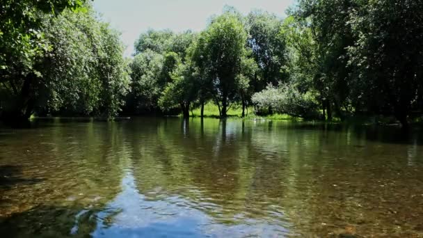 Bela Vista Lago Parque — Vídeo de Stock