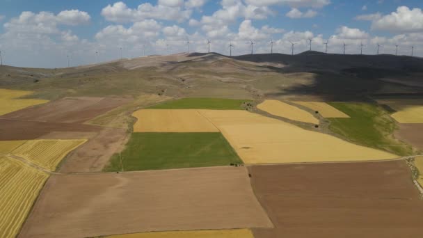 Vista Aérea Del Campo Verano — Vídeo de stock