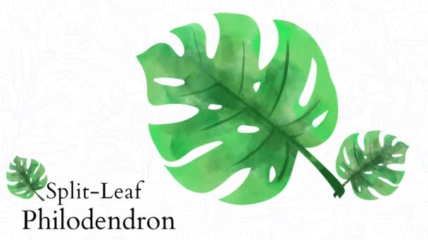 熱帯の葉とモンスターの葉 水彩画の背景 — ストック動画
