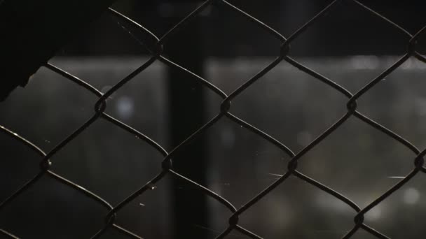 Metal Grid Background Fence — Stock Video