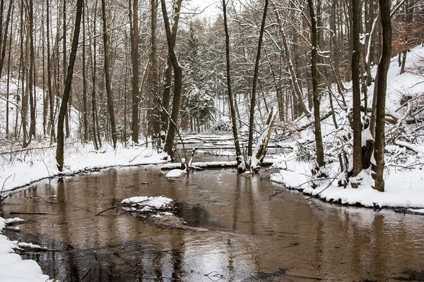 Gemächlich Fließt Winter Ein Bach Durch Den Verschneiten Wald — Stockfoto