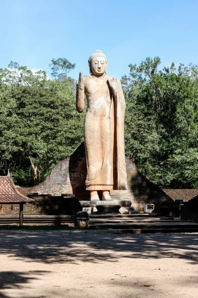 Estatua Del Buda Maligawila Una Figura Pie Sri Lanka — Foto de Stock