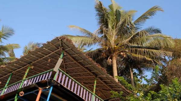 Een Lage Hoek Shot Van Palmbomen Verbouwd Anjuna Beach — Stockfoto