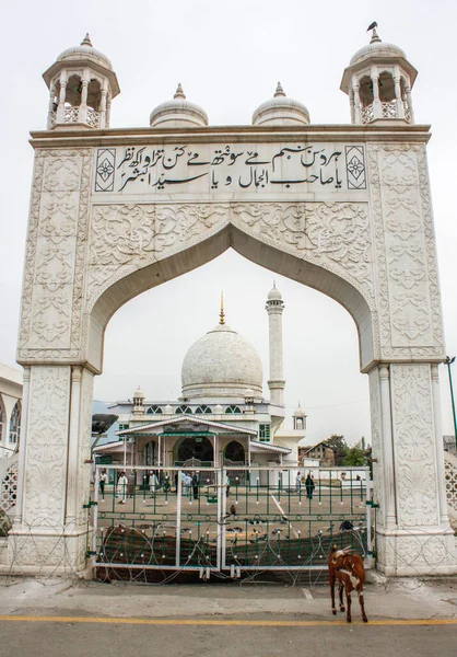 Asino Davanti Santuario Hazratbal — Foto Stock