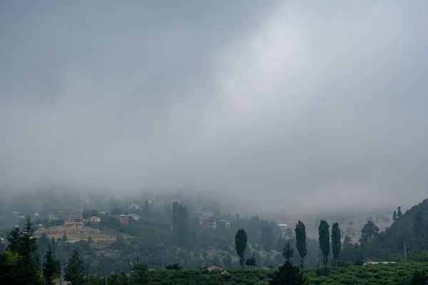 土耳其梅尔辛多雾的多罗塞尔山的美丽风景 — 图库照片