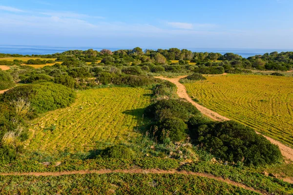 Uma Bela Foto Aérea Campo Maiorca Espanha — Fotografia de Stock