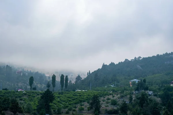トルコのメルシン トロサーの霧に覆われた天気の良い日に捉えられた美しい風景 — ストック写真