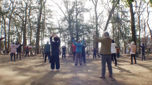 Footage Group Seniors Practicing Yoga Park Sunny Autumn Day — Stock Video