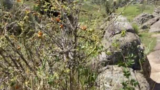 Hermosa Vista Las Montañas — Vídeos de Stock