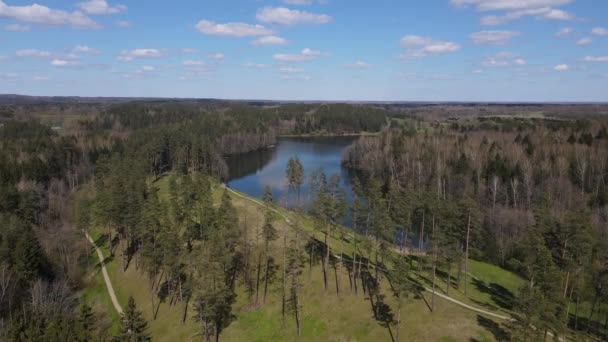 Natur Naturskön Utsikt Över Sjö Skog — Stockvideo