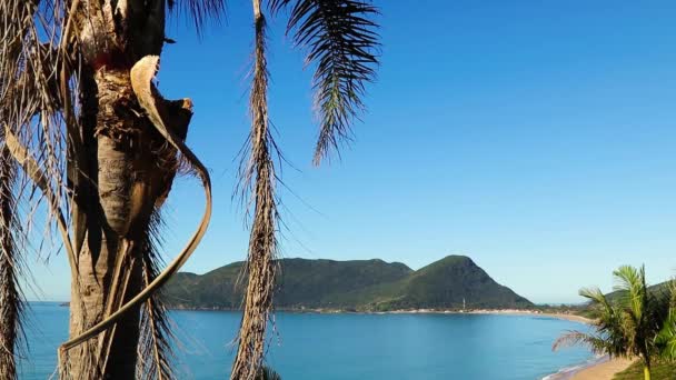 Piękna Plaża Palmami Błękitne Niebo — Wideo stockowe