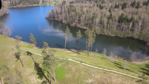 Naturaleza Vista Panorámica Del Lago Bosque — Vídeos de Stock