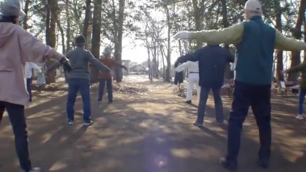 Séquence Groupe Personnes Âgées Pratiquant Yoga Dans Parc Jour Ensoleillé — Video