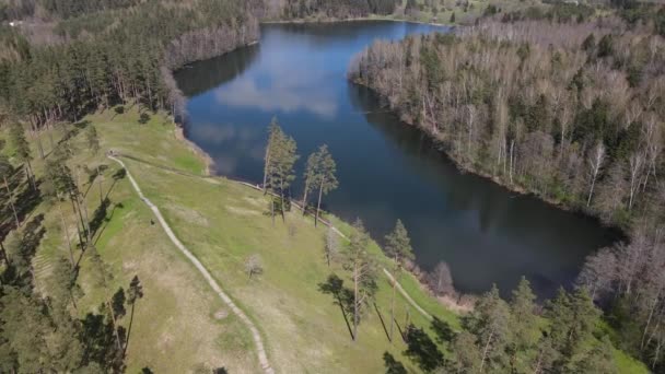 Naturaleza Vista Panorámica Del Lago Bosque — Vídeos de Stock