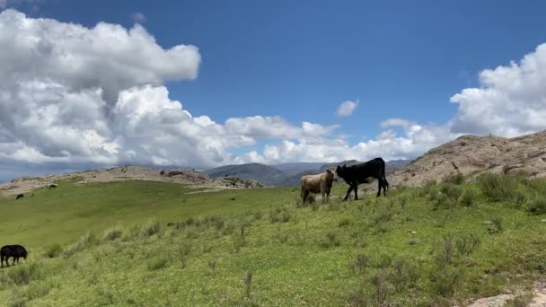 美丽的山景 — 图库视频影像