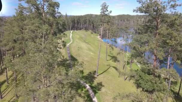 Natur Naturskön Utsikt Över Sjö Skog — Stockvideo