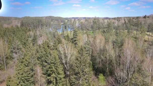 Natur Naturskön Utsikt Över Sjö Skog — Stockvideo