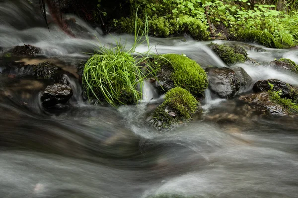 Grünes Moos Schwarze Steine Und Grüne Pflanzen Werden Vom Wasser — Stockfoto