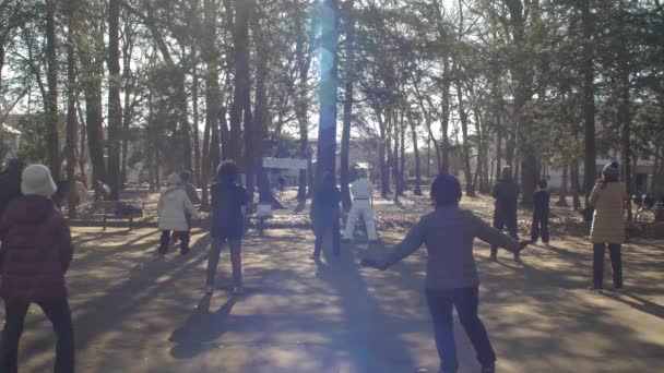 Materiał Filmowy Grupy Seniorów Ćwiczących Jogę Parku Słoneczny Jesienny Dzień — Wideo stockowe