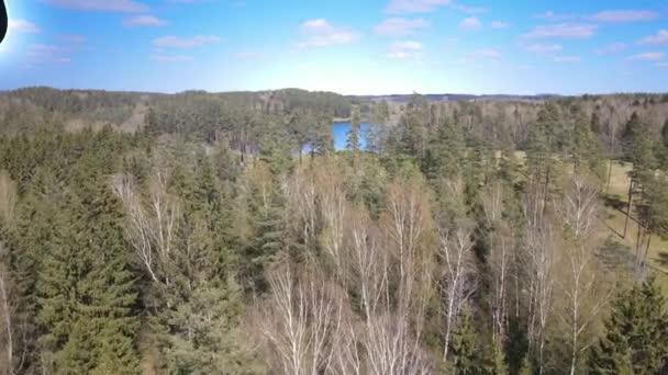 Natur Naturskön Utsikt Över Sjö Skog — Stockvideo