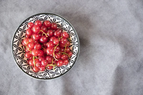 Fresh Red Currants Bowl Gray Background — Stock Photo, Image