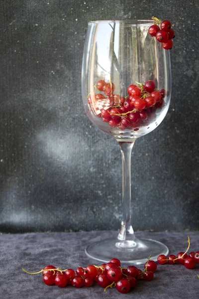 Φρέσκα Κόκκινα Φραγκοστάφυλα Ποτήρι Κρασιού Γκρι Φόντο — Φωτογραφία Αρχείου