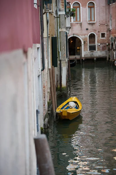 Tiro Vertical Uma Gôndola Canal Edifícios Veneza Itália — Fotografia de Stock