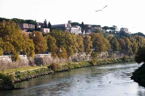 Τίβερης Ιταλικά Tevere Είναι Τρίτος Μεγαλύτερος Ποταμός Στην Ιταλία Μήκος — Φωτογραφία Αρχείου