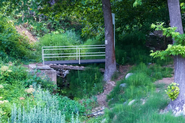 Ένα Όμορφο Τοπίο Μια Γέφυρα Που Περιβάλλεται Από Καταπράσινη Φύση — Φωτογραφία Αρχείου