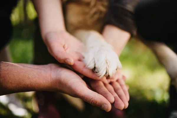 Närbild Ett Par Och Deras Hunds Händer Tillsammans — Stockfoto