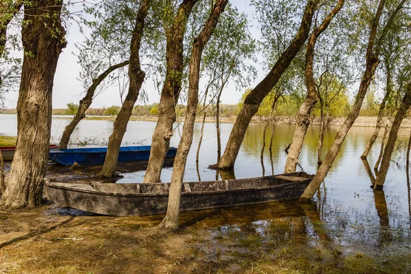 Ein Boot See Mit Bäumen Ringsum — Stockfoto