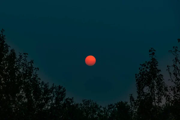 Luna Llena Color Naranja Cielo Nocturno —  Fotos de Stock