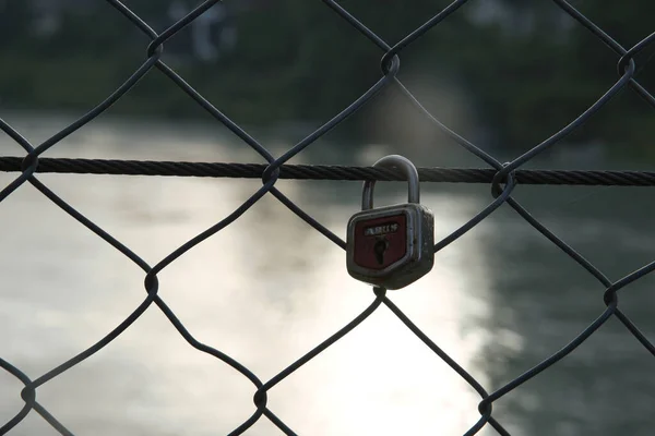 Closeup Shot Metal Lock Wired Fence — Stock Photo, Image