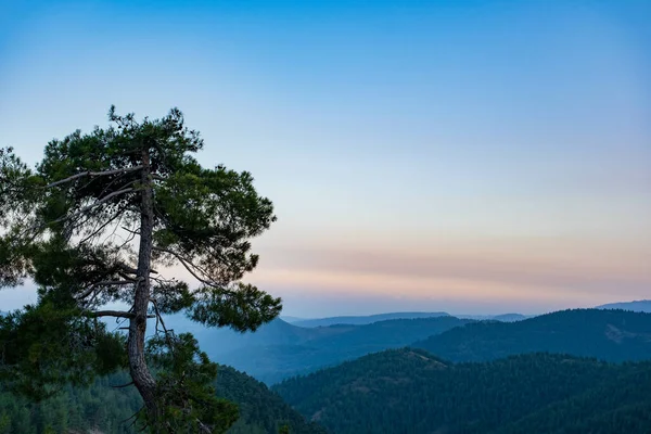 Krásná Krajina Stromu Kopci Toroslar Turecko Při Západu Slunce — Stock fotografie
