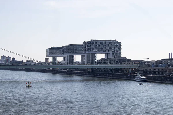 Les Grues Cologne Avec Vue Sur Rhin — Photo