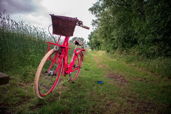 Una Bicicleta Vintage Roja Con Una Cesta Aparcada Parque — Foto de Stock