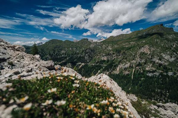Mesola Mesolina Ridgeline Sul Passo Fedaia Ladi Fedaia Marmolada Dolomiti — Foto Stock