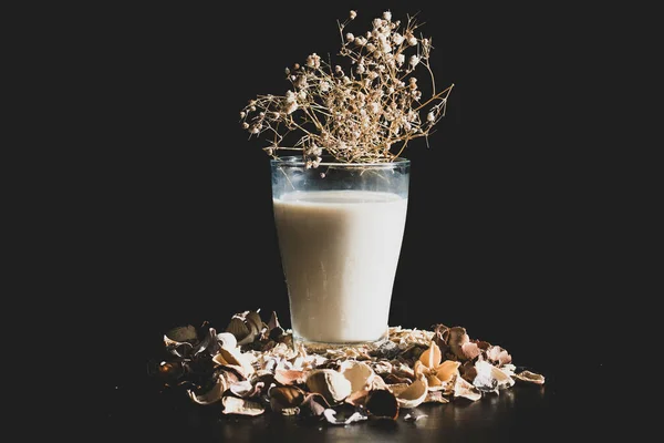 Ett Glas Havremjölk Svart Bakgrund — Stockfoto