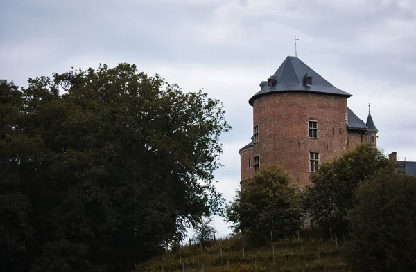 Castillo Gaasbeek Rodeado Vegetación Bajo Cielo Nublado Día Sombrío Lennik — Foto de Stock