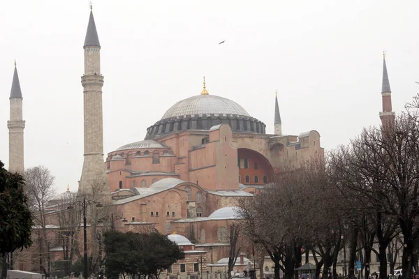 Ayasofya Stanbul Türkiye Kasvetli Bir Günde Çıplak Ağaçlarla Çevrili — Stok fotoğraf